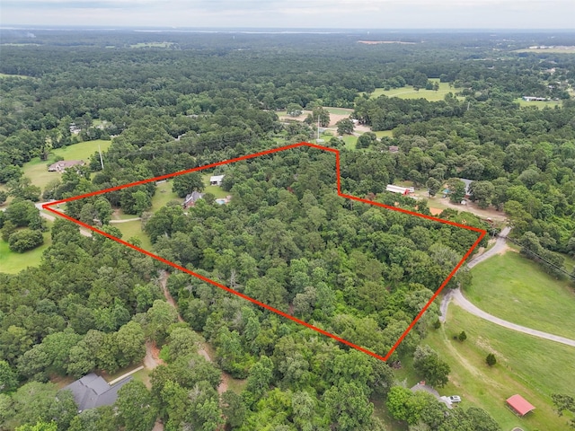 18443 Hills Lake Ct, Montgomery, TX 77316 - photo 42