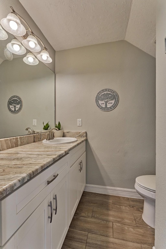 24203 Creekview Dr, Spring, TX 77389 - bathroom with vanity, vaulted ceiling, wood finished floors, and a textured ceiling