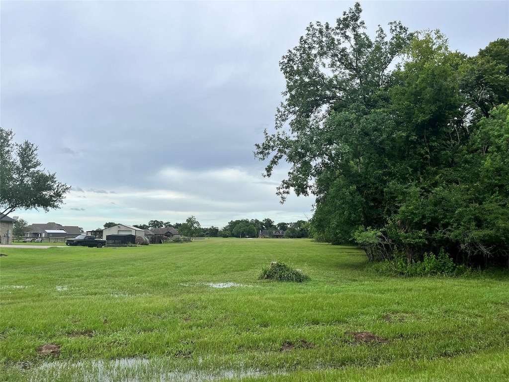 17839 Indian Forest Ct, Rosharon, TX 77583 - view of yard