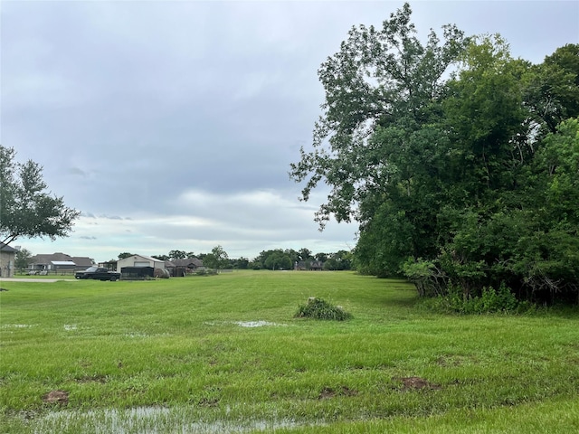 17839 Indian Forest Ct, Rosharon, TX 77583 - view of yard