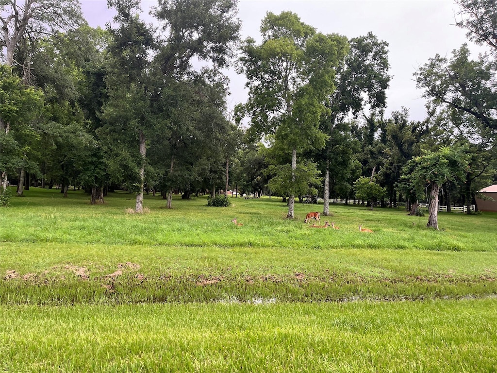 17839 Indian Forest Ct, Rosharon, TX 77583 - view of yard