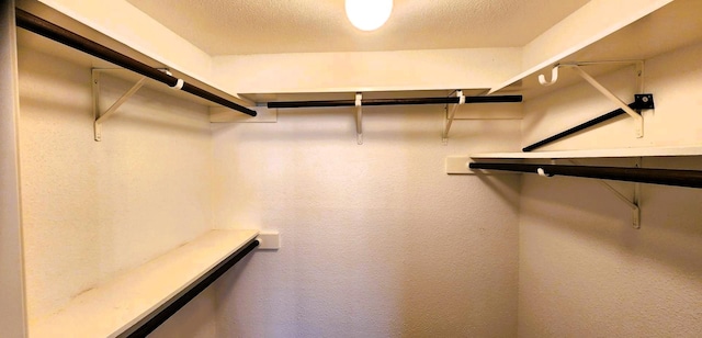 14777 Wunderlich Dr Unit 605, Houston, TX 77069 - view of walk in closet