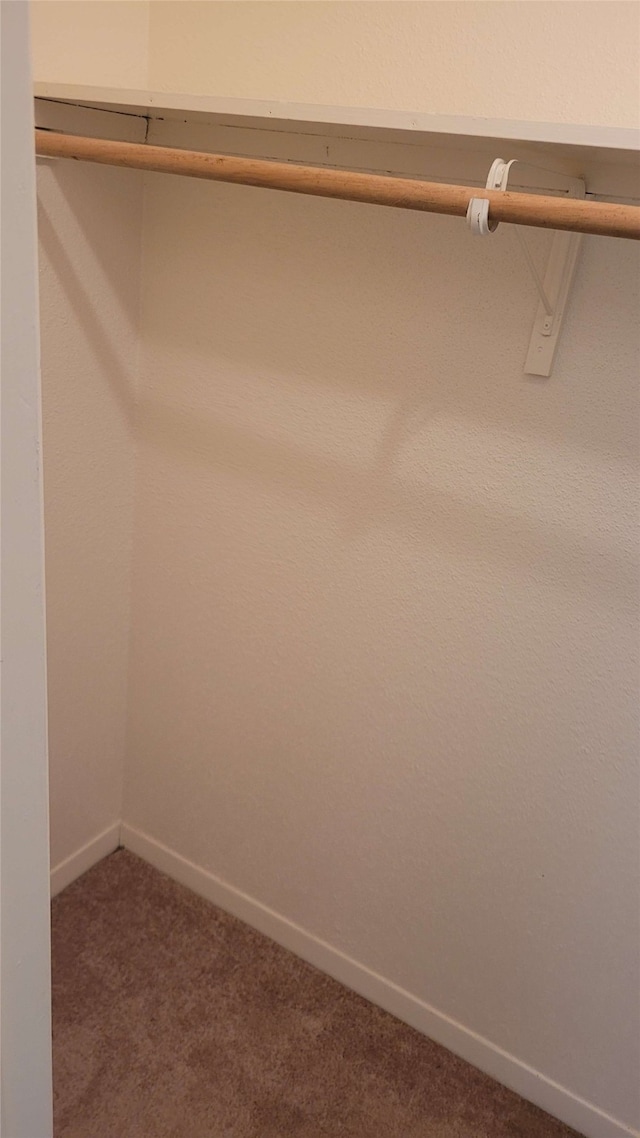 1557 Bonanza Rd Unit 557, Houston, TX 77062 - walk in closet with dark colored carpet