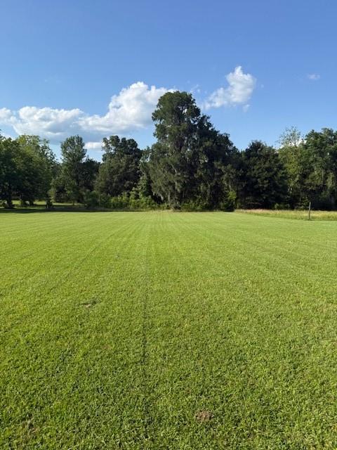 240 Rosalie St, Shepherd, TX 77371 - view of grassy yard