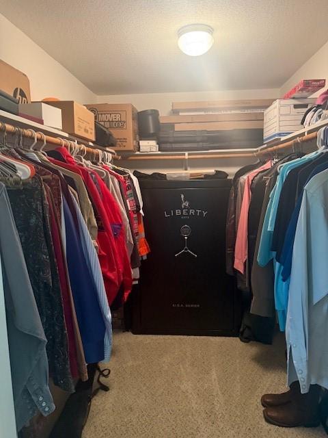 240 Rosalie St, Shepherd, TX 77371 - spacious closet featuring carpet