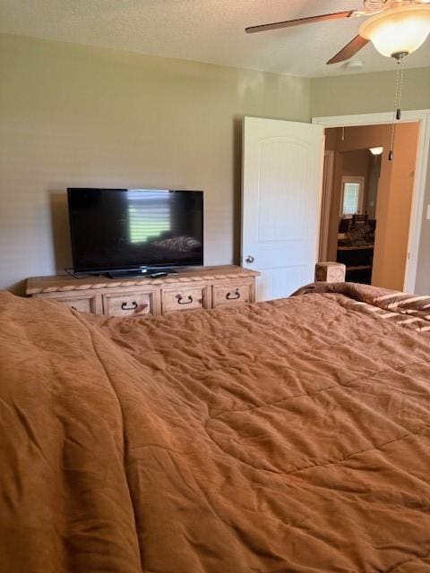 240 Rosalie St, Shepherd, TX 77371 - bedroom with ceiling fan