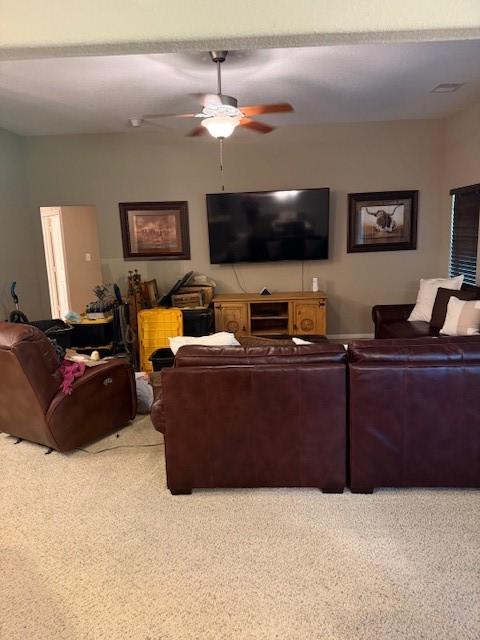 240 Rosalie St, Shepherd, TX 77371 - carpeted living area with ceiling fan