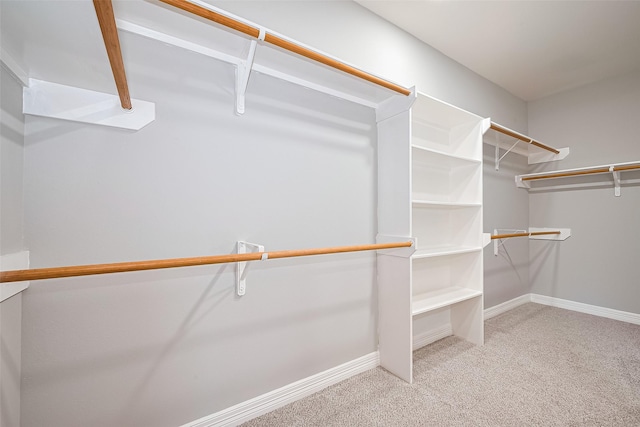 11107 Camino Oaks Dr, Houston, TX 77064 - spacious closet with light carpet