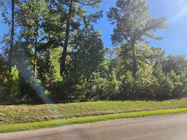 TBD Hidden Oaks Dr, Point Blank, TX 77364