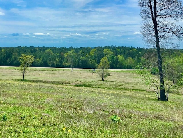 4590 W US Highway 287, Groveton, TX 75845