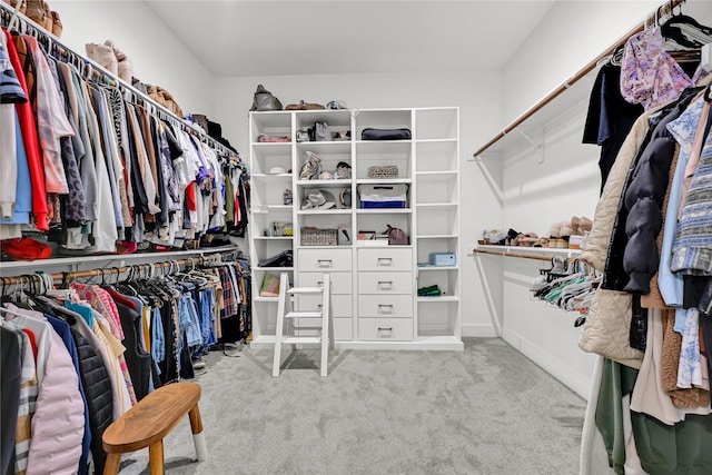 960 Rd 6609, Dayton, TX 77535 - spacious closet with carpet floors
