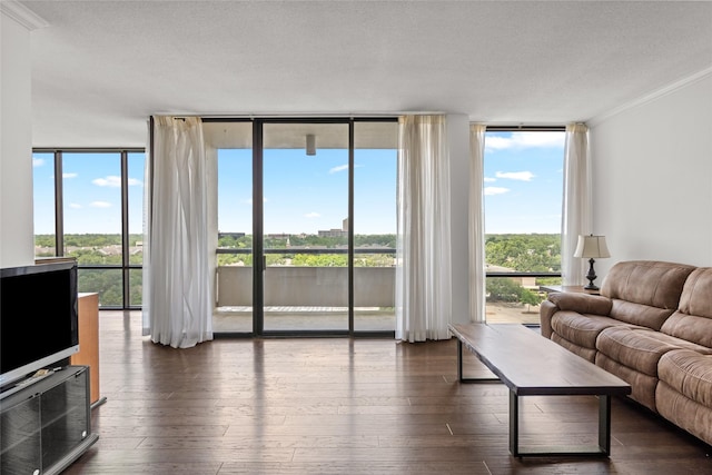 1111 Bering Dr Unit 805, Houston, TX 77057 - living room featuring expansive windows, crown molding, and hardwood / wood-style flooring