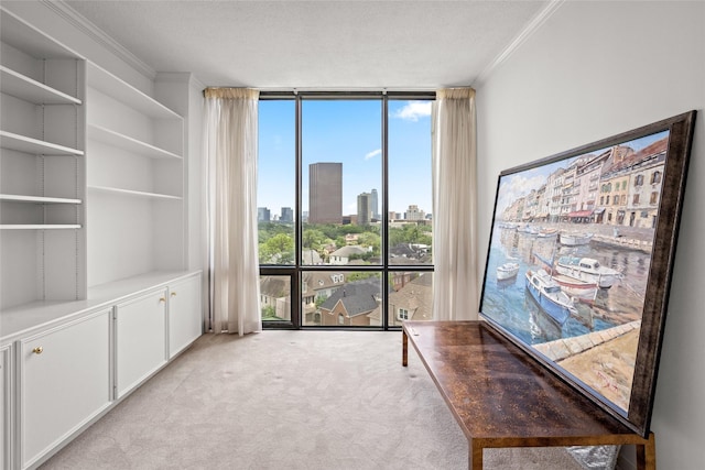 1111 Bering Dr Unit 805, Houston, TX 77057 - unfurnished room featuring a wall of windows, light carpet, a skyline view, crown molding, and built in features
