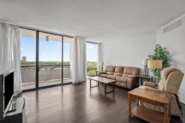 1111 Bering Dr Unit 805, Houston, TX 77057 - living room featuring floor to ceiling windows, dark wood-style flooring, and a textured ceiling