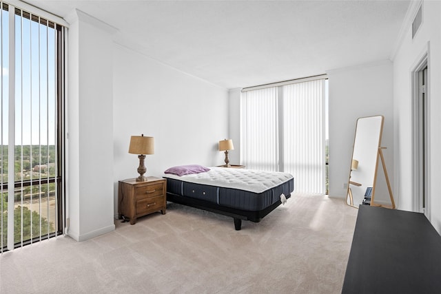 1111 Bering Dr Unit 805, Houston, TX 77057 - bedroom featuring ornamental molding and light carpet