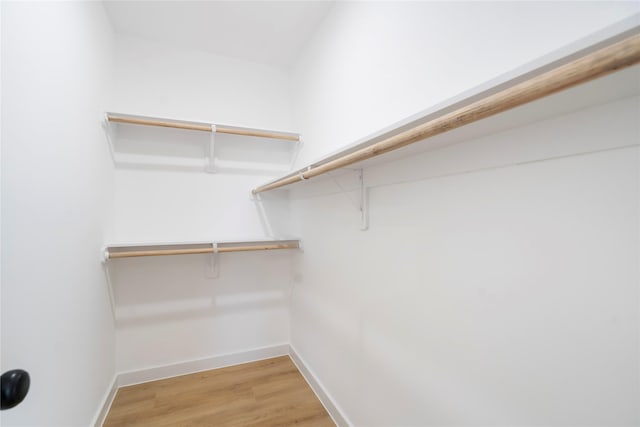 7504 Laura Koppe Rd C/D, Unit C/D Houston, TX 77028 - walk in closet with light wood finished floors