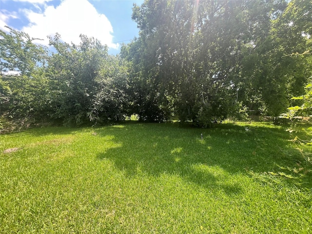 10113 Teneha Dr, Houston, TX 77033 - view of grassy yard
