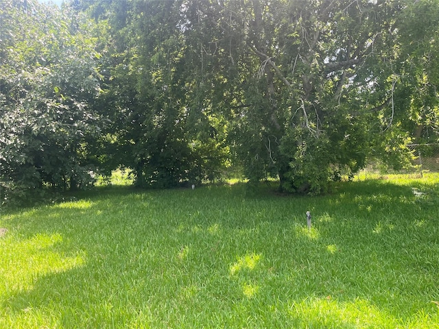 10113 Teneha Dr, Houston, TX 77033 - view of yard