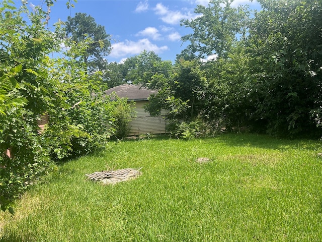 10113 Teneha Dr, Houston, TX 77033 - view of yard