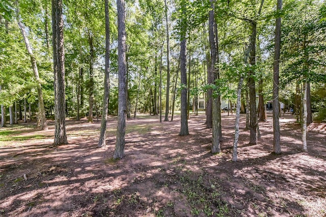 19426 Indigo Lake Dr, Magnolia, TX 77355 - view of undeveloped land