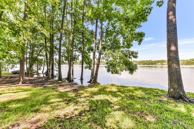 19426 Indigo Lake Dr, Magnolia, TX 77355 - water view