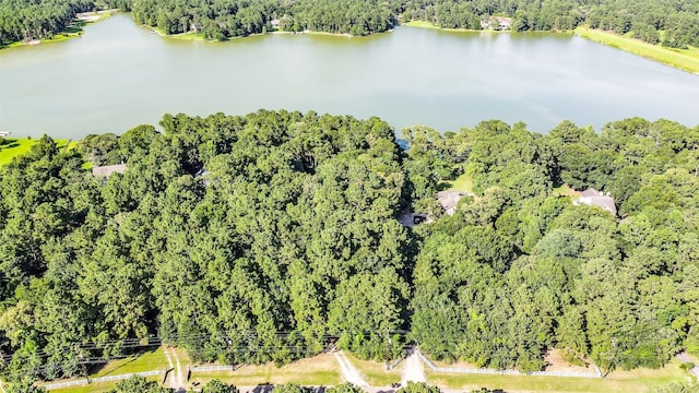 19426 Indigo Lake Dr, Magnolia, TX 77355 - bird's eye view of a nearby body of water