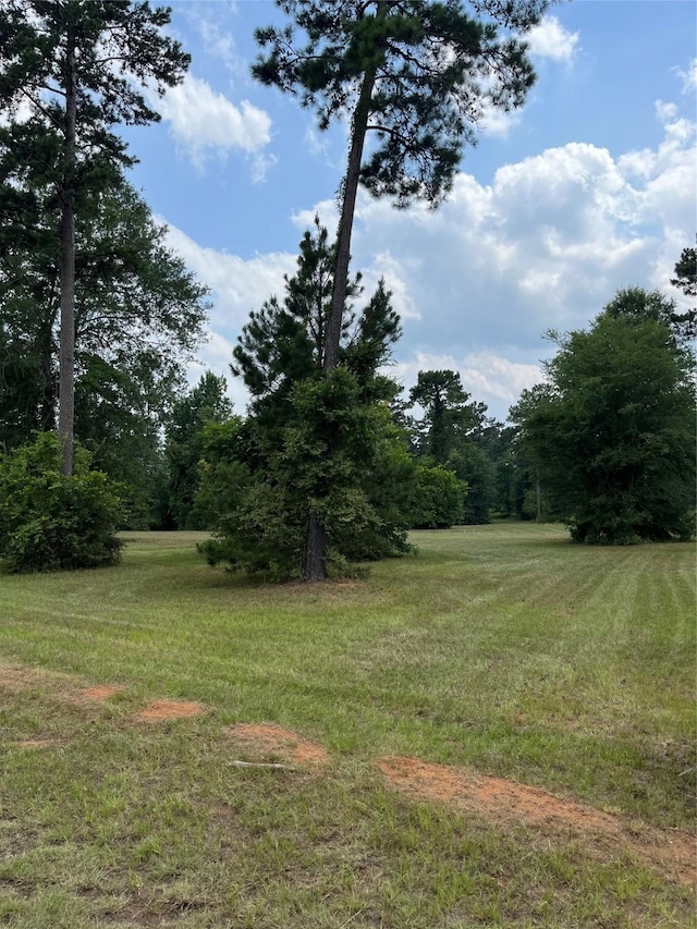 452 Old Tejas Trl E, Hemphill, TX 75948 - photo 3