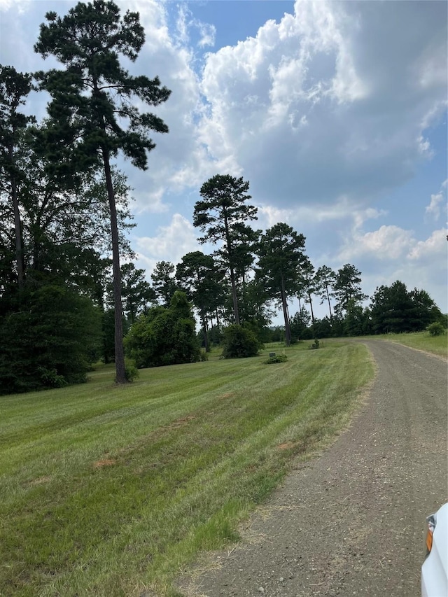 452 Old Tejas Trl E, Hemphill, TX 75948 - photo 4
