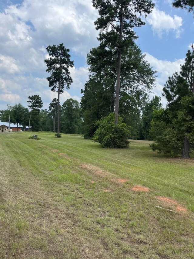 452 Old Tejas Trl E, Hemphill, TX 75948 - photo 2