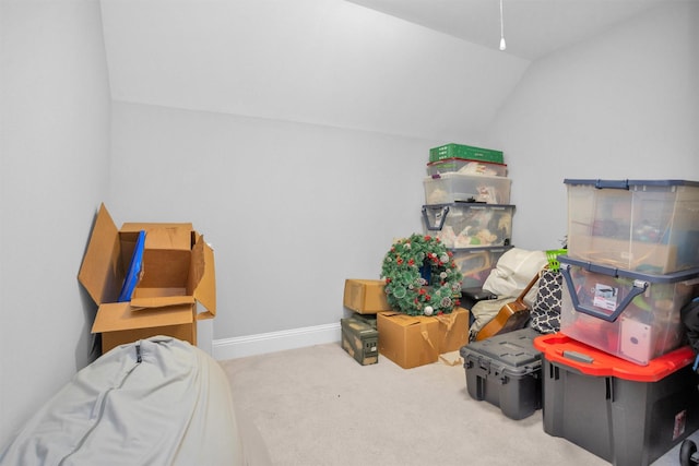27016 Hidden Grove Landing Dr, Spring, TX 77386 - view of storage area