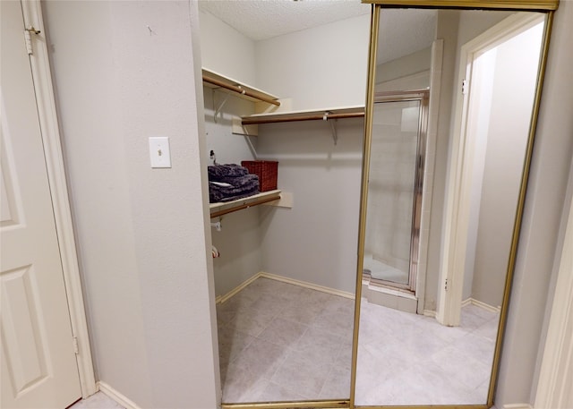 3011 Flower Field Ln, Pearland, TX 77584 - view of spacious closet
