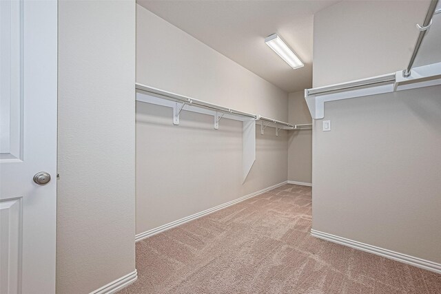 6518 Nicholas Trl, Sugar Land, TX 77479 - spacious closet featuring carpet flooring