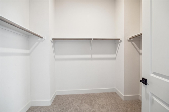 5256 Texas St, Houston, TX 77011 - walk in closet featuring carpet