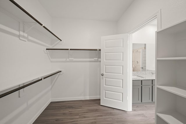 13200 Musky Dr, Conroe, TX 77384 - walk in closet featuring dark wood-type flooring