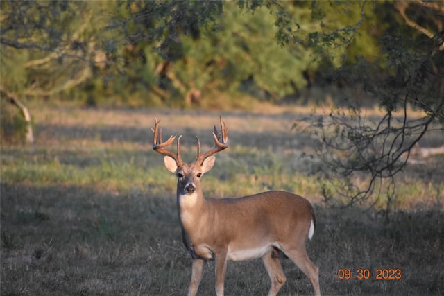 849 Givens Rd, Victoria, TX 77905
