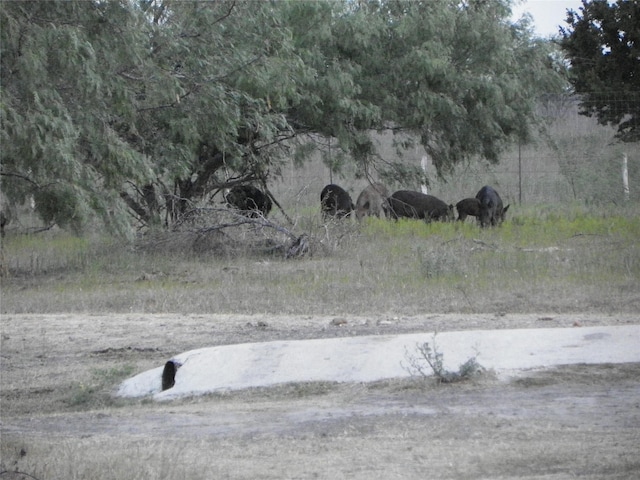 849 Givens Rd, Victoria, TX 77905
