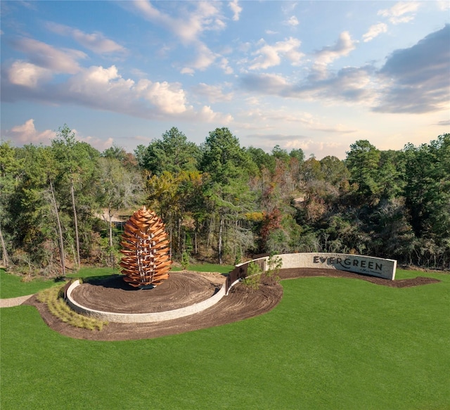 13085 Brookwood Bend Ln, Conroe, TX 77302 - view of grassy yard