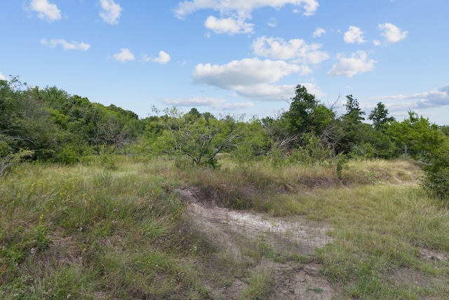 0 Morgan Rd, Bedias, TX 77831