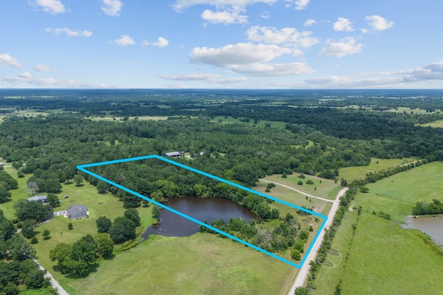 0 Morgan Rd, Bedias, TX 77831
