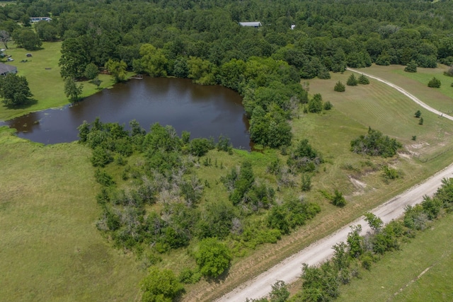 0 Morgan Rd, Bedias, TX 77831