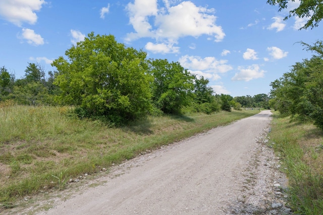 0 Morgan Rd, Bedias, TX 77831