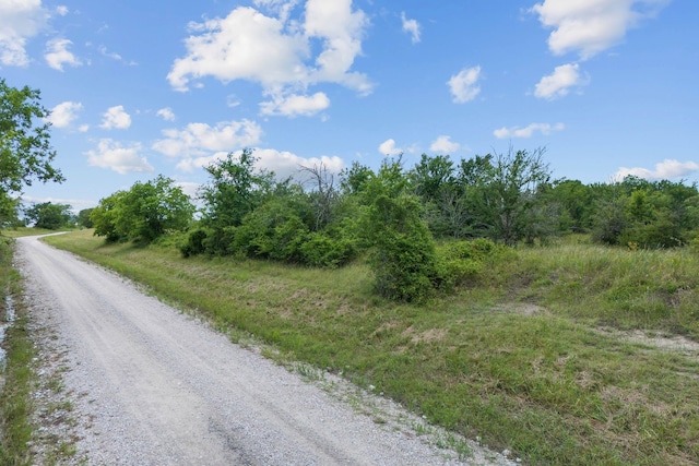 0 Morgan Rd, Bedias, TX 77831