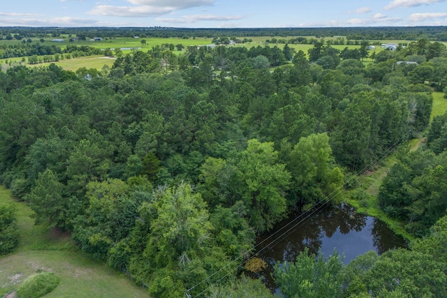 0 Morgan Rd, Bedias, TX 77831