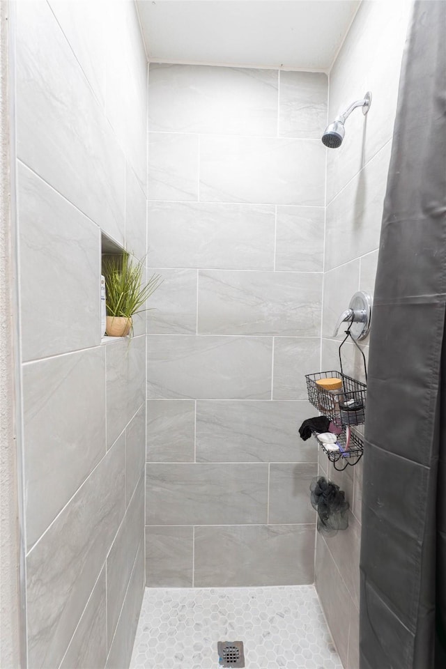 9106 Gustine Ln, Houston, TX 77031 - full bathroom with a tile shower