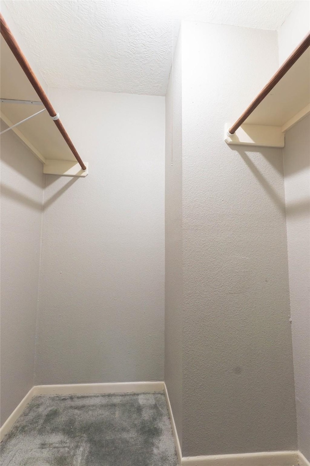 9106 Gustine Ln, Houston, TX 77031 - spacious closet featuring carpet floors
