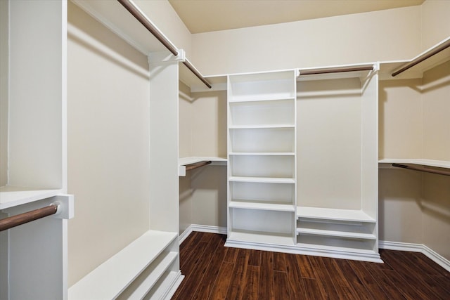 2026 Palm Forest Ln, Houston, TX 77077 - photo 25