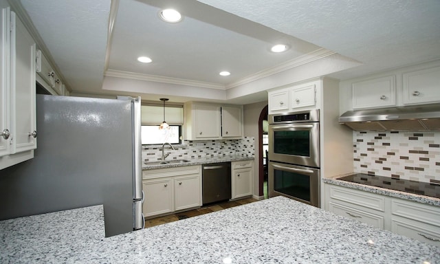 2102 Candy St, Pinehurst, TX 77362 - kitchen featuring appliances with stainless steel finishes, under cabinet range hood, a raised ceiling, dark wood-style floors, and ornamental molding