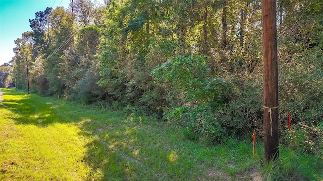 TBD26 Timbergrove, Livingston, TX 77351