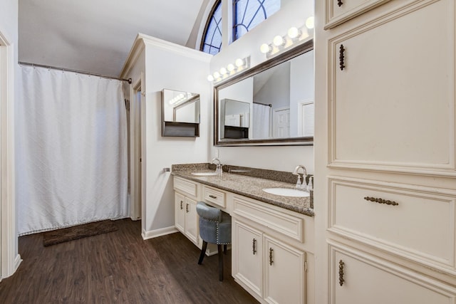 1018 Cascade Creek Dr, Katy, TX 77450 - bathroom with double vanity, wood finished floors, and a shower with curtain