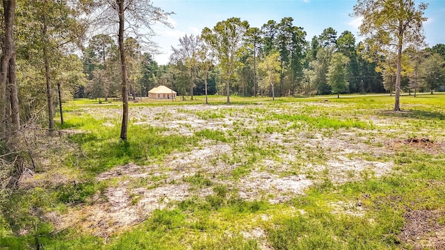 TBD70 Thousand Oaks, Livingston, TX 77351